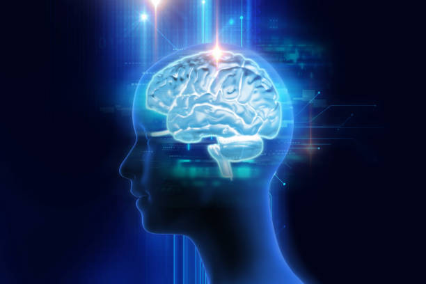 istock 3d rendering of human  brain on technology background 695721558