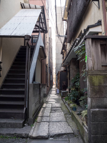 istock Tokyo Kagurazaka 695721586
