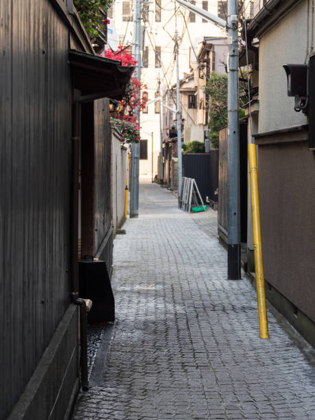 istock Tokyo Kagurazaka 695721618