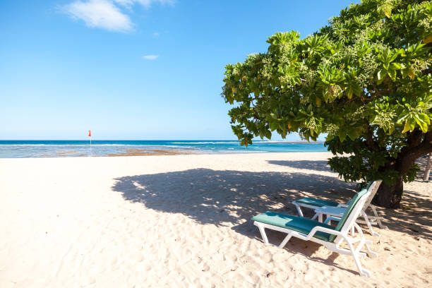 istock Leisure time in Bali 695721662