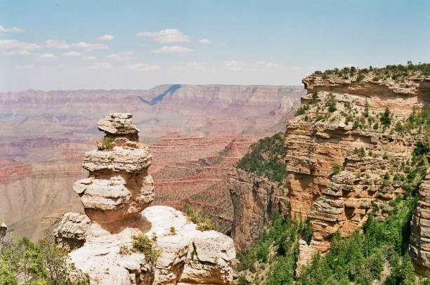 istock Grand Canyon South Rim 695732386