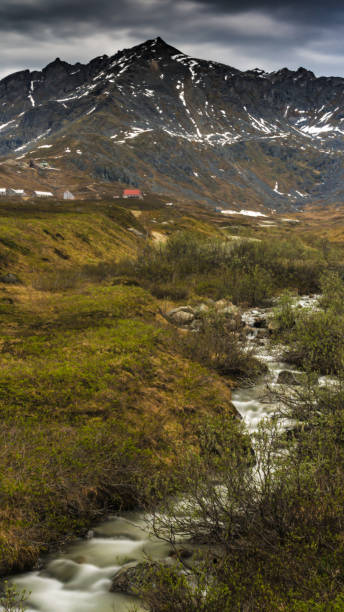 Stream on Hatcher Pass Vertical image of a stream on Hatcher Pass, Alaska. talkeetna mountains stock pictures, royalty-free photos & images