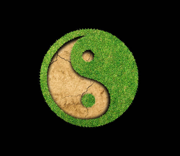 istock Yin Yang green grass on black background 695739720