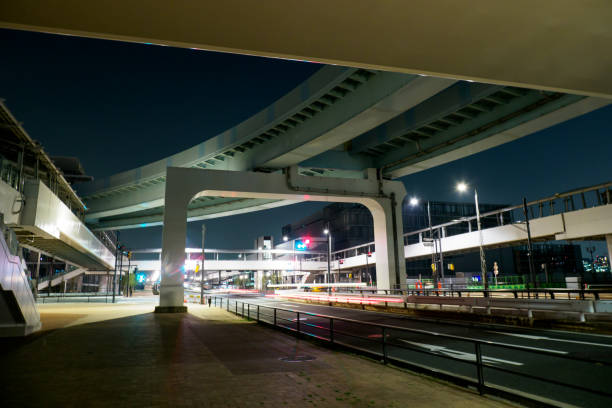 istock Toyosu Market in japan 695740360