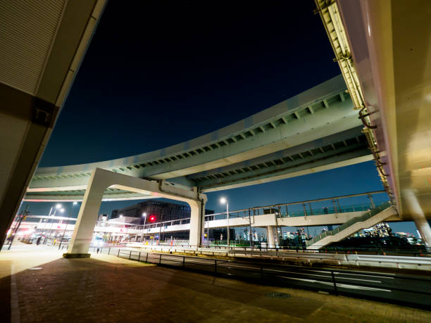 istock Toyosu Market in japan 695740370