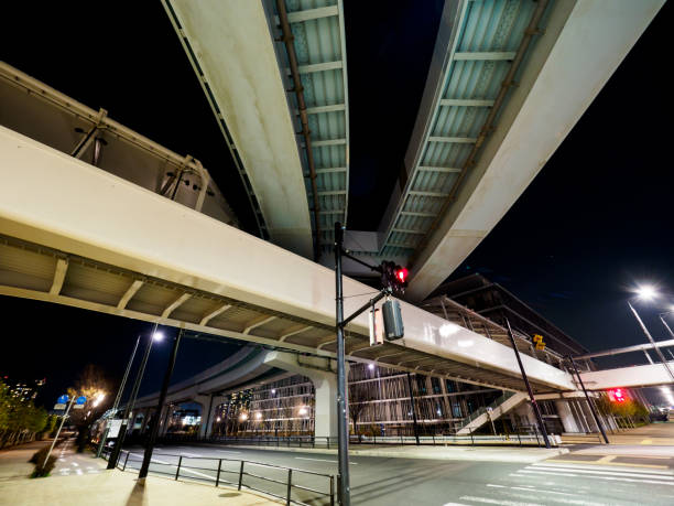 istock Toyosu Market in japan 695740468