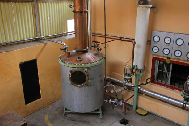istock Pisco production at factory, Elqui Valley, Chile 695741020