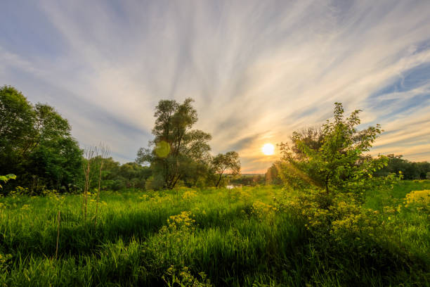 istock Sunset above the pond at summer with cloudy sky background. 695748716