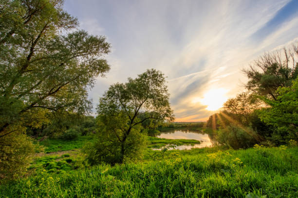 istock Sunset above the pond at summer with cloudy sky background. 695748728