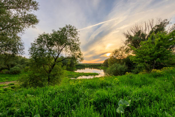 istock Sunset above the pond at summer with cloudy sky background. 695748738