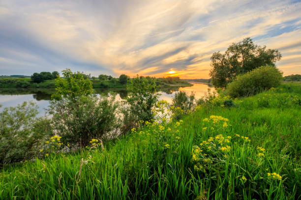 istock Sunset above the river at summer with cloudy sky background. 695748958