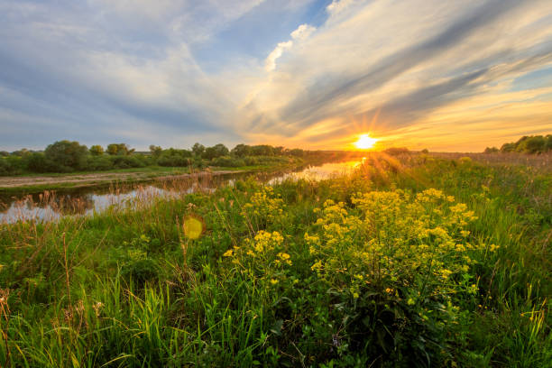 istock Sunset above the river at summer with cloudy sky background. 695748990