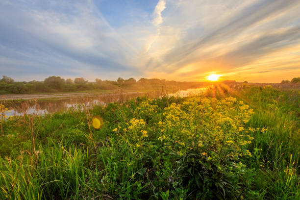 istock Sunset above the river at summer with cloudy sky background. 695748998