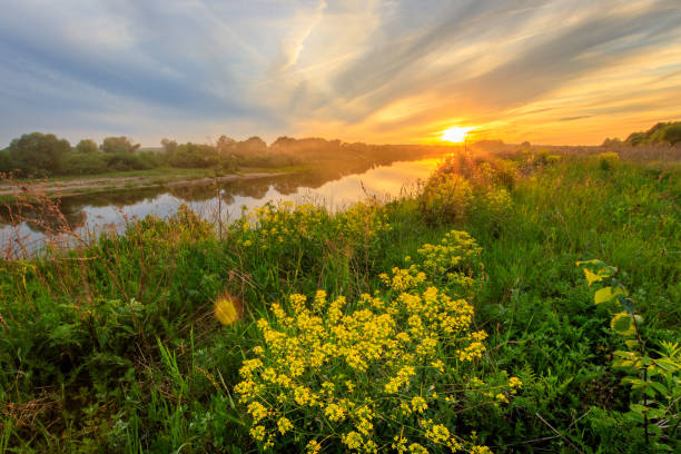 istock Sunset above the river at summer with cloudy sky background. 695749000