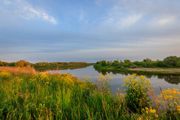 istock Sunset above the river at summer with cloudy sky background. 695749010