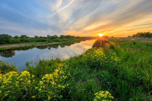 istock Sunset above the river at summer with cloudy sky background. 695749016