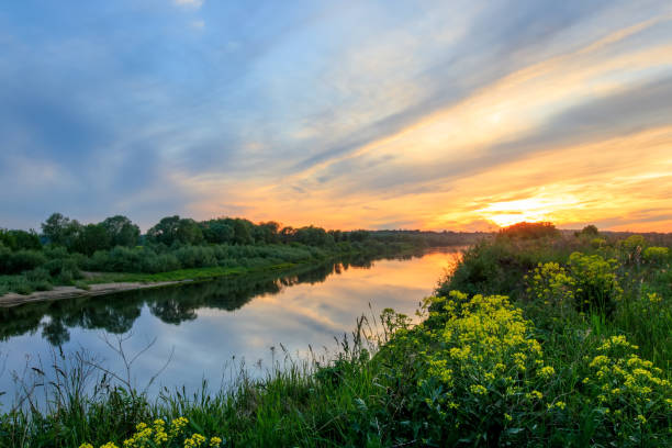 istock Sunset above the river at summer with cloudy sky background. 695749040