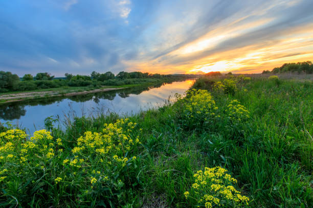 istock Sunset above the river at summer with cloudy sky background. 695749042