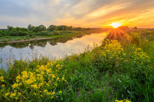 istock Sunset above the river at summer with cloudy sky background. 695749054