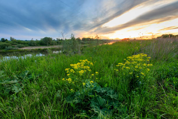 istock Sunset above the river at summer with cloudy sky background. 695749080