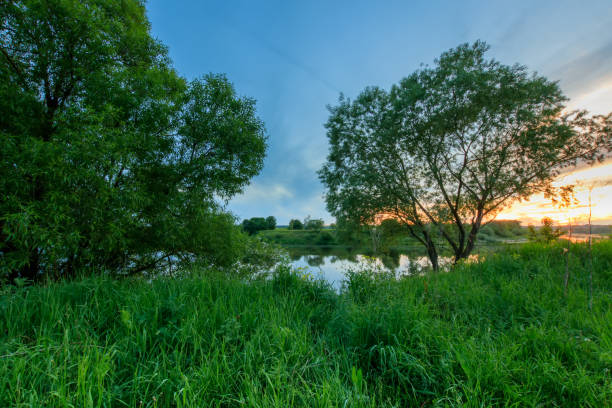 istock Sunset above the pond at summer with cloudy sky background. 695749088