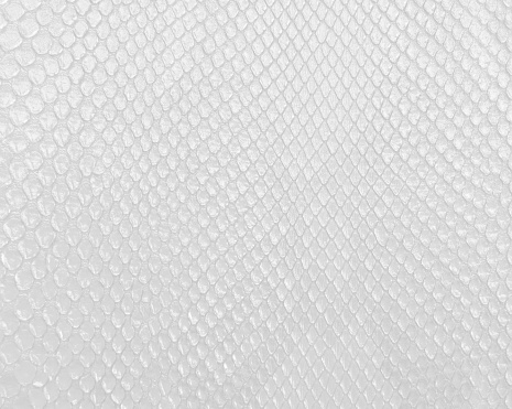 Snake Skin Texture In White Color Modern Bright White Background Stock  Photo - Download Image Now - iStock