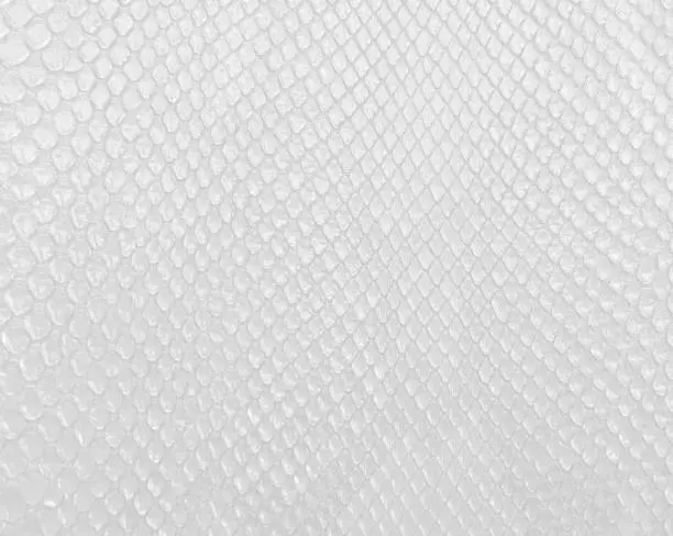 Snake skin texture in white color, modern bright white background.