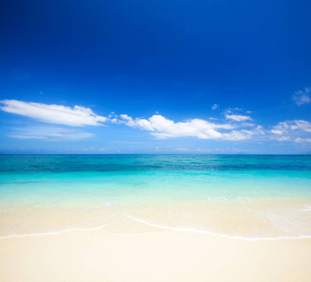 istock beach and tropical sea 695763012