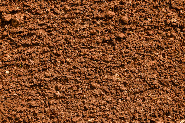 istock Coffee color plowed dirt. Background and texture 695769476