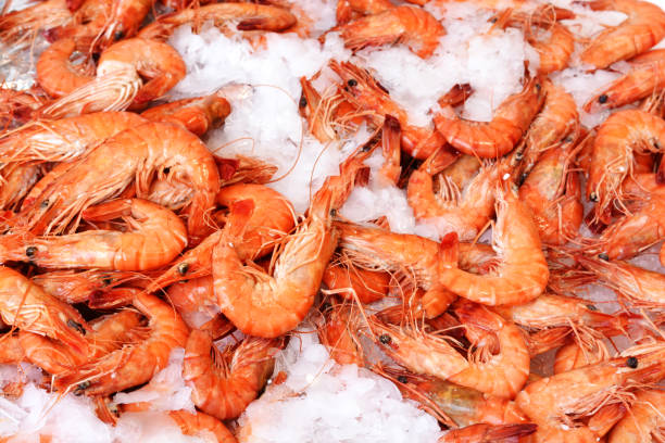 Fresh prawn shrimps on ice for sale at fish market stock photo