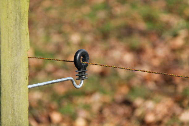 Electrified Fence Wire. The Insulated Holder of an Electrified Fence Wire. fence3 stock pictures, royalty-free photos & images