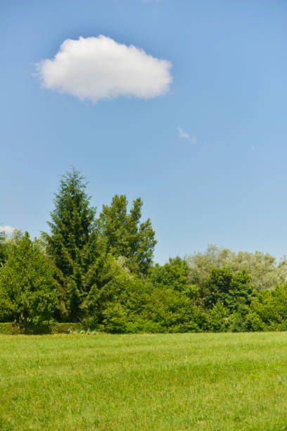 istock Big beautiful cloud full of water 695779632