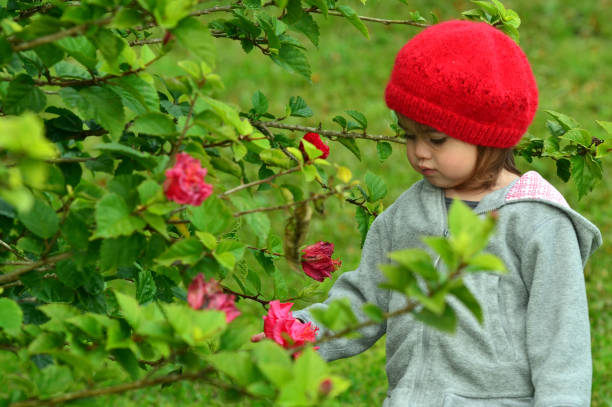 Little girl in a garden looks at red flowers