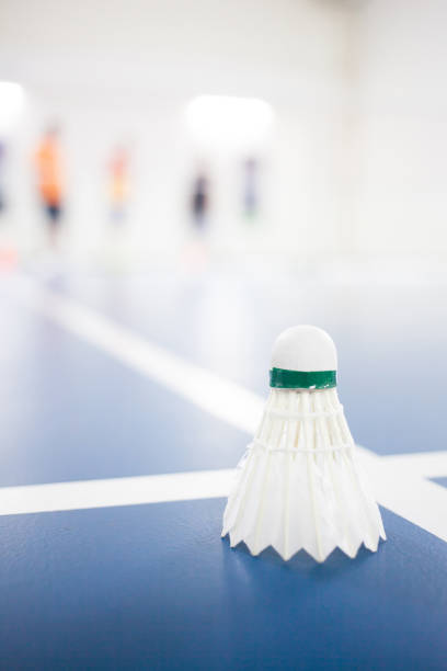 istock Shuttlecock on badminton playing court 695783296