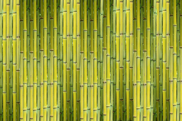 istock Green reed background close up 695786116