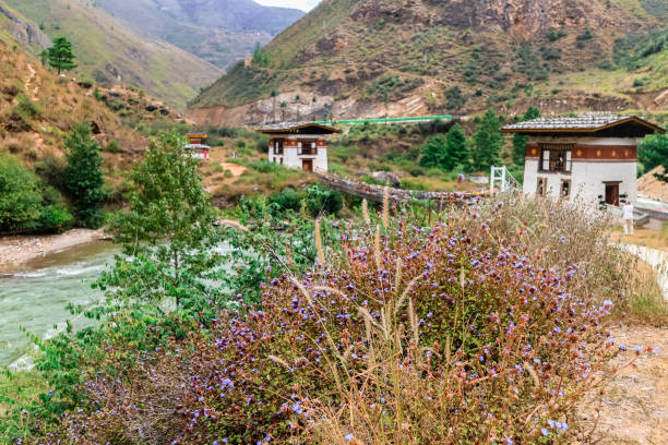 istock Tamchog Lhakhang Paro River Bhutan 695787056