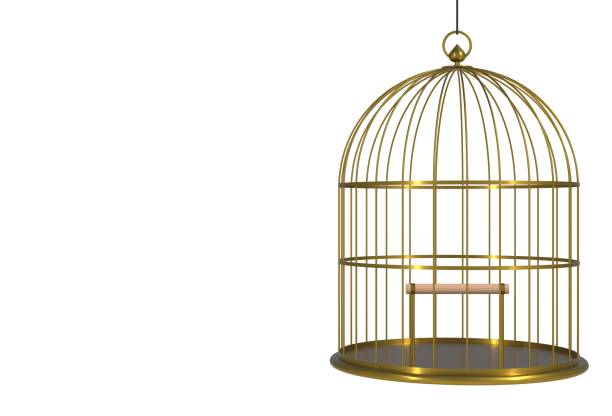 istock Empty bird golden cage Isolated on white background, 3D rendering 695789584