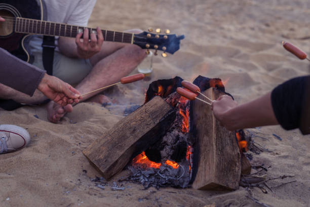 istock friends sitting on the beach. man is playing guitar. 695806094