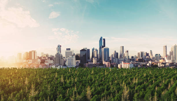 istock Panoramic modern city in sunrise with green forest 695806466