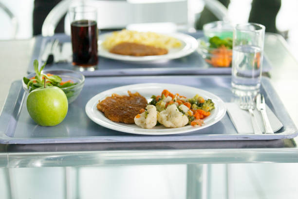 istock Canteen Food on a tray 695806548