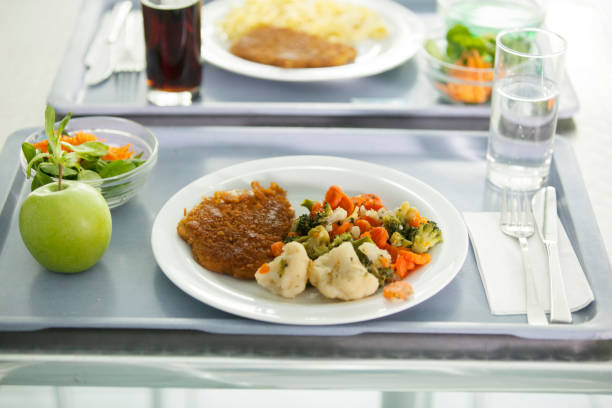 istock Canteen Food on a tray 695806570
