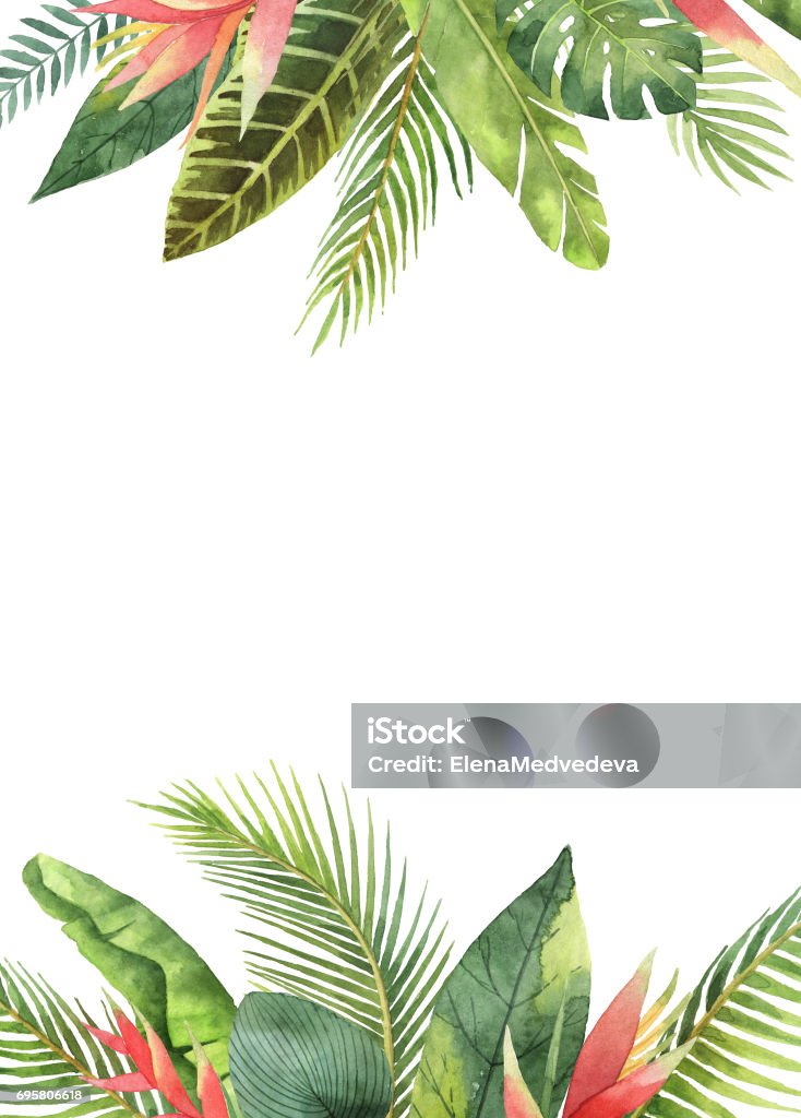 Watercolor rectangular frame tropical leaves and branches isolated on white background. Watercolor rectangular frame tropical leaves and branches isolated on white background. Illustration for design wedding invitations, greeting cards, postcards with space for your text. Tropical Climate stock illustration