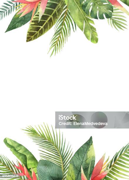 Watercolor Rectangular Frame Tropical Leaves And Branches Isolated On White Background Stock Illustration - Download Image Now