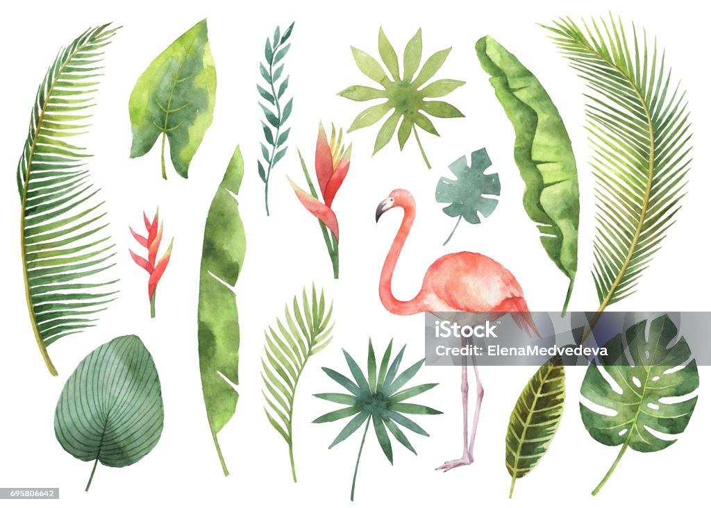Watercolor set tropical leaves and branches isolated on white background. Watercolor set tropical leaves and branches isolated on white background. Illustration for design kitchen, market, textiles, decorations, cards. Watercolor Painting stock illustration