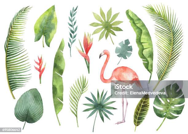 Watercolor Set Tropical Leaves And Branches Isolated On White Background Stock Illustration - Download Image Now