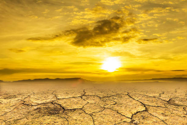 istock Drought land and hot weather 695806870