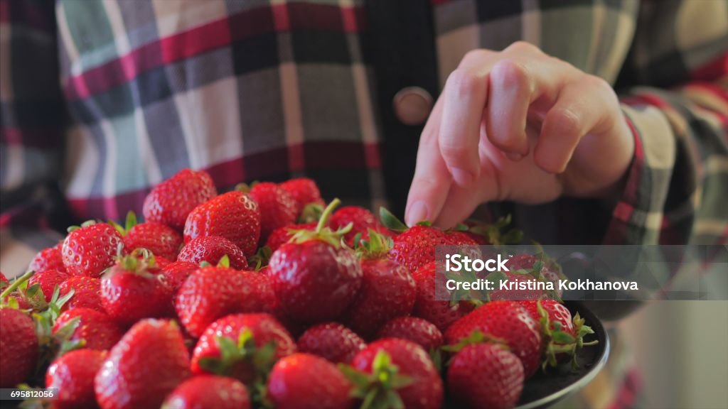 Young Woman in Plaid shirt holding bowl of berries and taking a big ripe strawberry. No face, only hands Young girl picks a delicious ripe strawberry from the black plate. Beautiful background. Lady chooses a berry. 40-49 Years Stock Photo