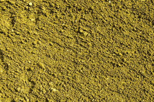 istock Yellow color plowed dirt. Background and texture 695835062
