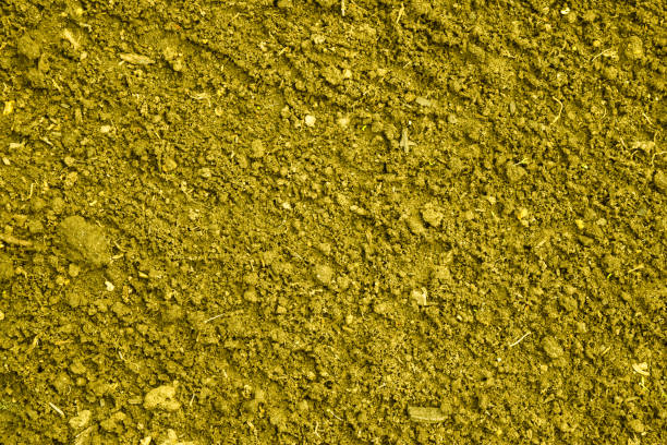 istock Yellow color plowed dirt. Background and texture 695836602
