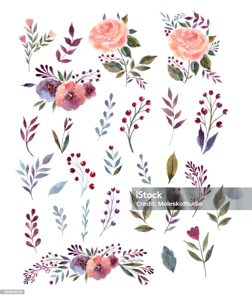 Flowers and leaves Set of watercolor illustration with amazing flowers, branches and leaves Collection stock illustration